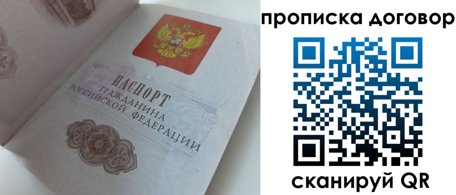 прописка поиск в Холмске